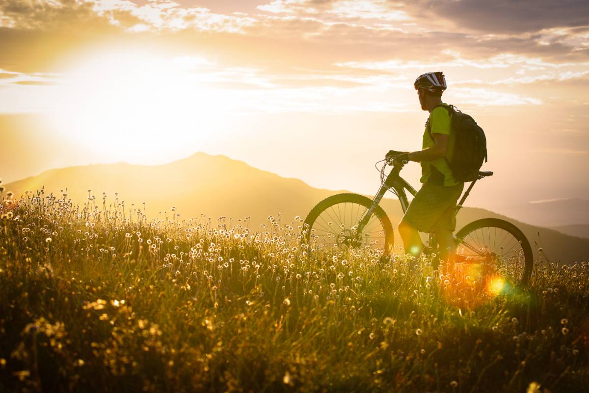 Guide to Mountain Biking in Mt Buller: Trails & Tips